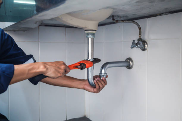 Best Plumbing Services Near Me  in Astatula, FL